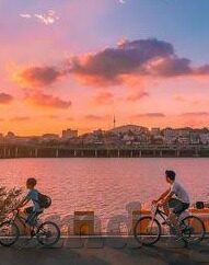 世界杯球员流泪-世界杯球员流泪，赛场上的情感共鸣与人性光辉