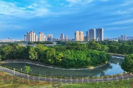 足球图文比分直播-足球狂欢夜,实时图文比分直播,带你身临其境感受绿茵激情